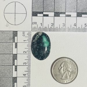 Variscite cab